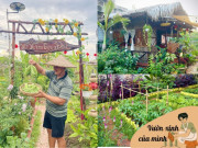 "Bỏ phố về quê", chàng trai 9X Vĩnh Long chi 100 triệu làm nhà vườn 600m2 đẹp mê trồng đủ thứ rau củ, có cả ao cá