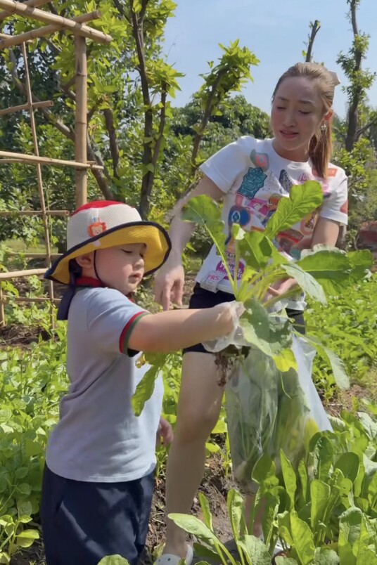 Ở biệt thự rộng 1600m2, học trường quốc tế, “tiểu thiếu gia” nhà Chi Bảo vẫn quần đùi áo thun làm vườn dù mới 3 tuổi - 5