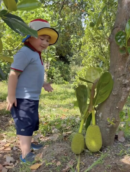 Ở biệt thự rộng 1600m2, học trường quốc tế, “tiểu thiếu gia” nhà Chi Bảo vẫn quần đùi áo thun làm vườn dù mới 3 tuổi - 8