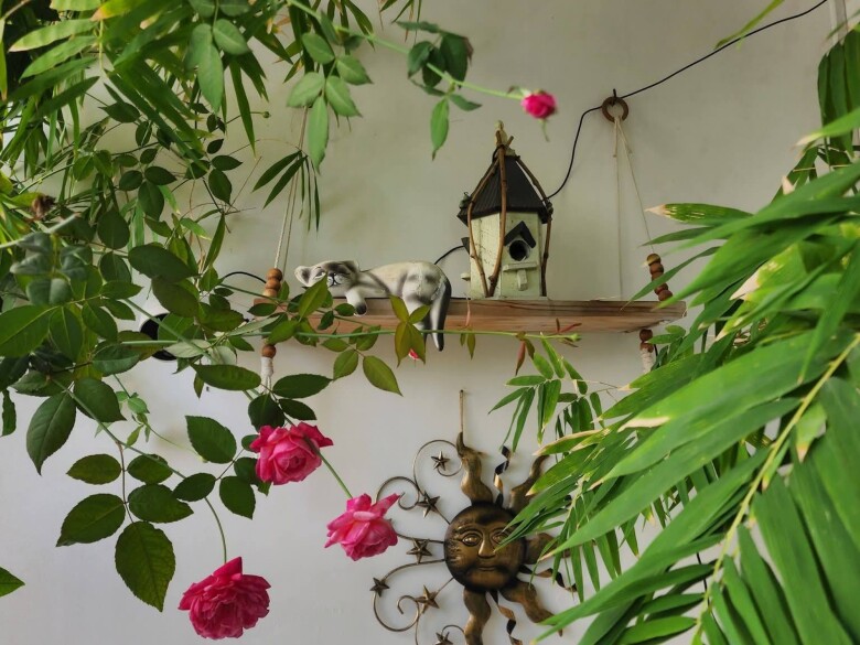 Rời nhà đất lên chung cư, cặp vợ chồng U60 chi 300 triệu sửa ngôi nhà ngập sắc xanh, khu vườn ban công xịn sò - 9