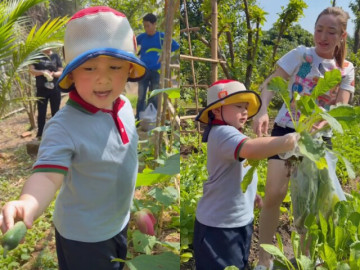 Yêu con - Ở biệt thự rộng 1600m2, học trường quốc tế, “tiểu thiếu gia” nhà Chi Bảo vẫn quần đùi áo thun làm vườn dù mới 3 tuổi