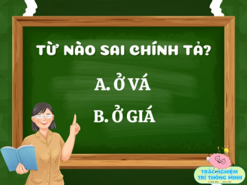 Ở vá hay ở giá mới là từ đúng chính tả? 10 người hết 9 người trả lời sai