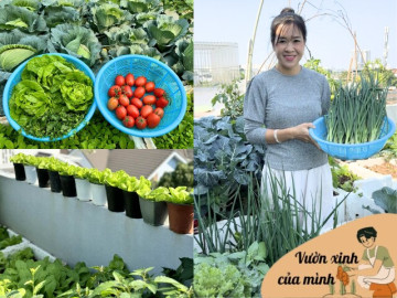 Lo ngại thực phẩm bẩn, mẹ 8X Hà Nội chi 10 triệu biến sân thượng nhà thành khu vườn đẹp xanh không thiếu rau gì