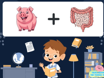 Đuổi hình bắt chữ: Đoán tên các câu ca dao, thành ngữ, tục ngữ Việt Nam bắt đầu bằng chữ C