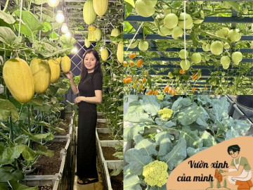 Mẹ đảm Quãng Ngãi biến sân thượng ngôi nhà thành khu vườn 100m2 rau củ gì cũng có, ăn quanh năm không hết