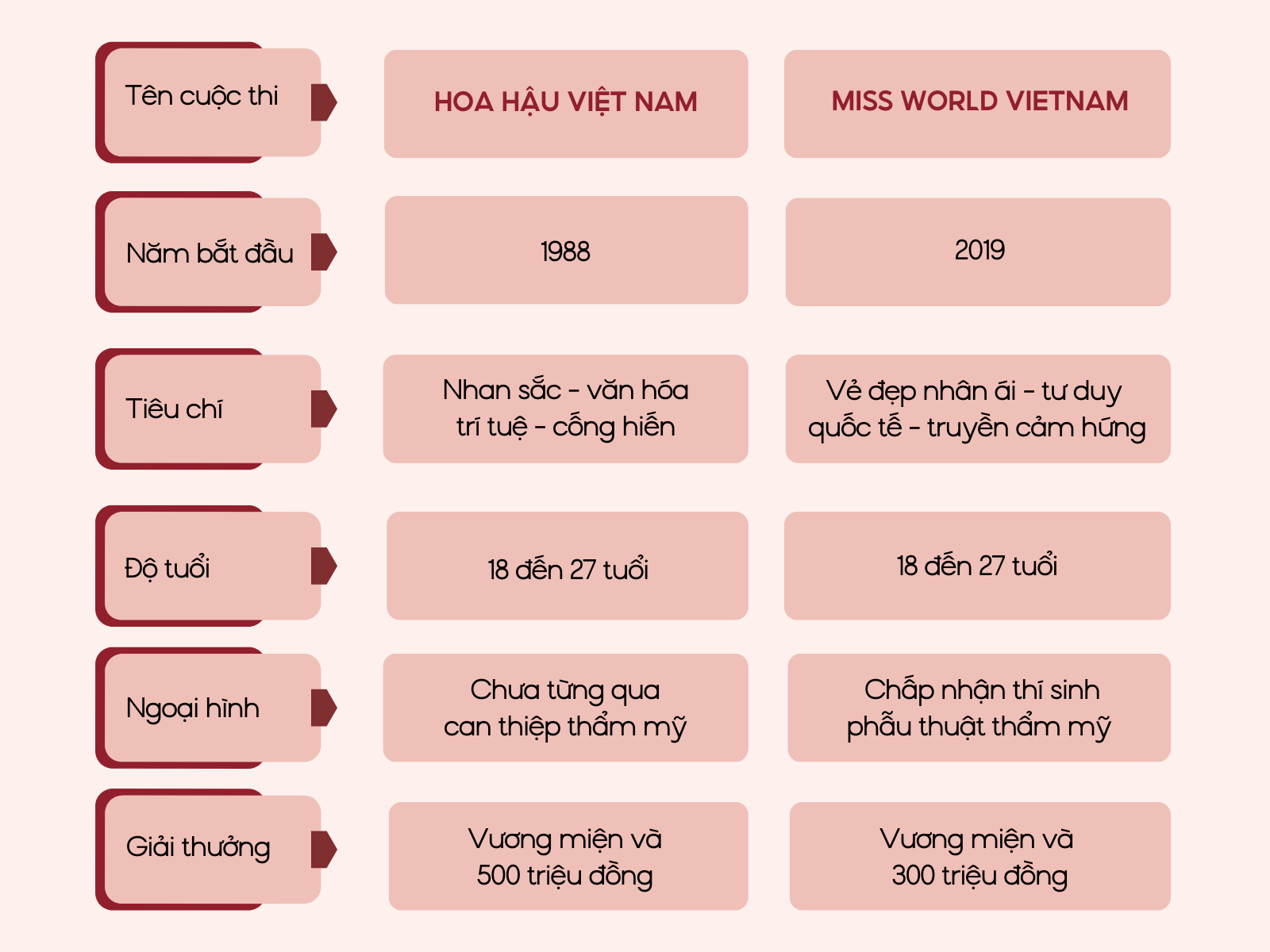 Hoa hậu ở Việt Nam gồm những cuộc thi nào? Đây là 6 đấu trường sắc đẹp quyền lực nhất hiện nay - 9