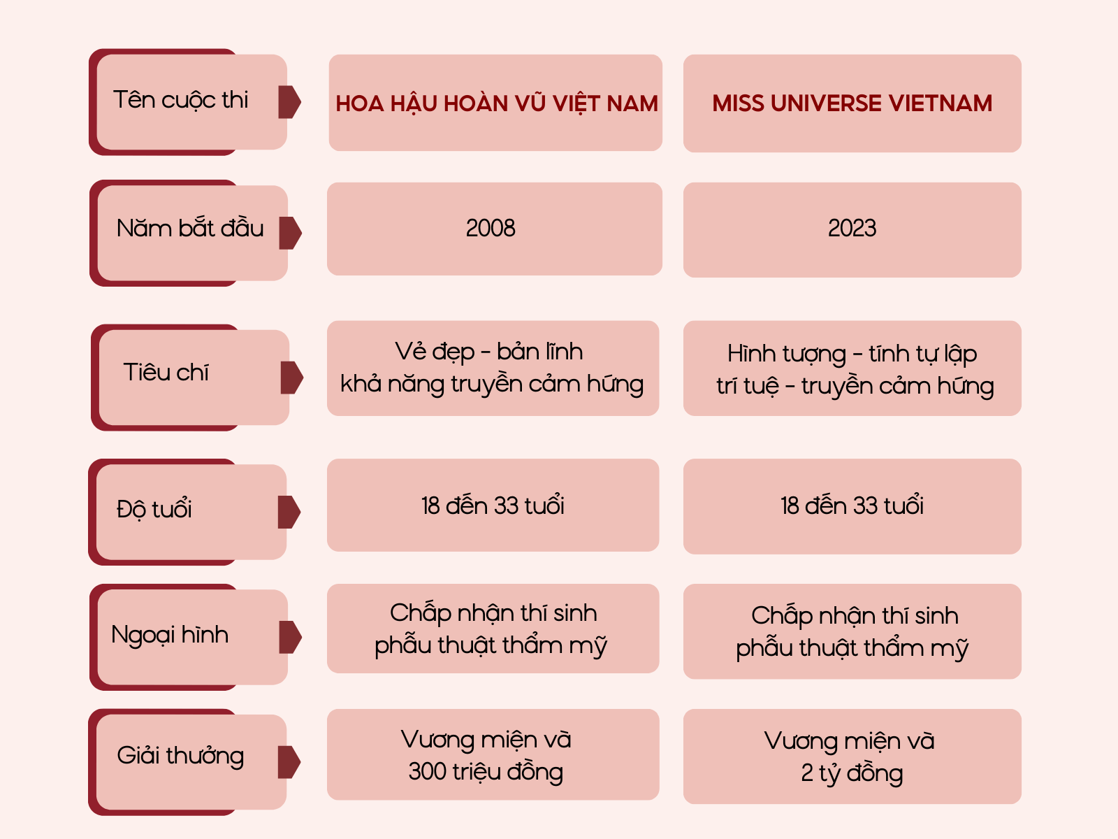 Hoa hậu ở Việt Nam gồm những cuộc thi nào? Đây là 6 đấu trường sắc đẹp quyền lực nhất hiện nay - 18