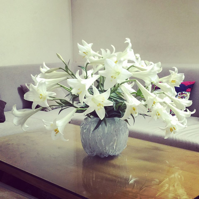 Bình hoa đầu mùa của chị Nguyễn Hà (Hà Nội)
