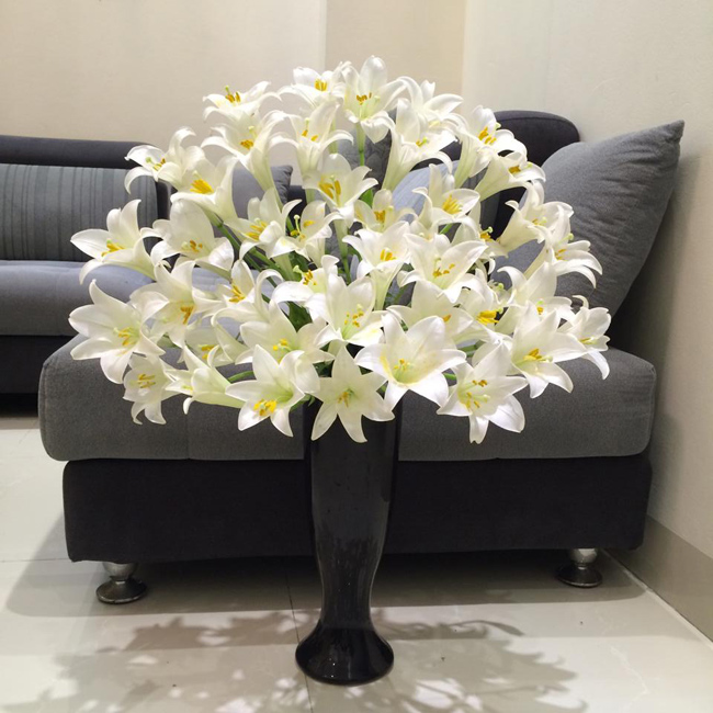 Một lọ hoa loa kèn to sẽ làm nổi bật không gian phòng khách của gia đình bạn.

(Hoa của chị Hanh Nguyen My).
