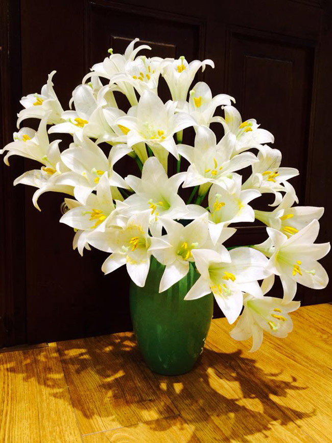 Khi cắm hoa loa kèn, để bình hoa vào dáng đẹp nên cắm hoa từ thấp lên cao.

(Hoa của chị Hanh Nguyen My).
