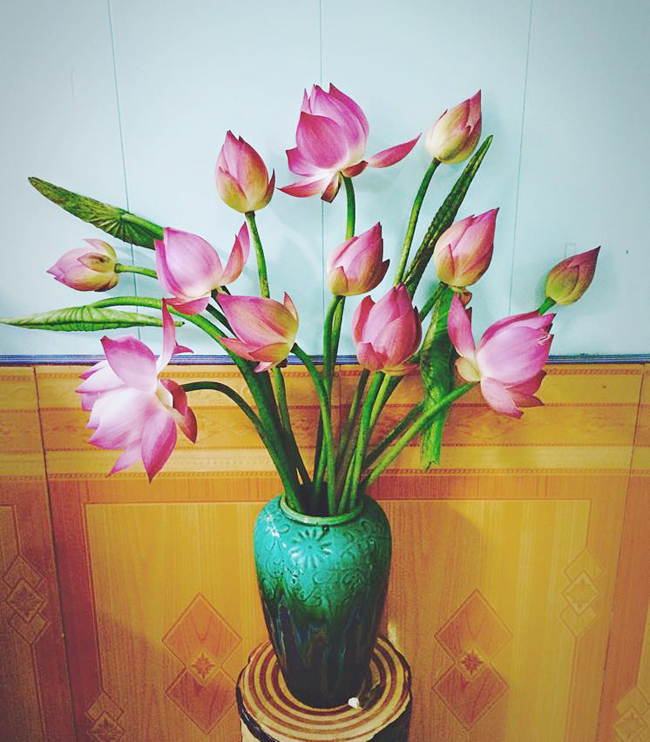 Bình hoa sen quỳ rực rỡ đầu mùa của chị được đăng tải trên hội cắm hoa nhận được khá nhiều lời khen cũng như tư vấn giữ hoa tươi lâu.
