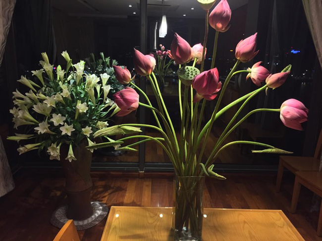 Hè năm nay, chị khá vui khi có thể cùng lúc bày hai loài hoa mình yêu nhất trong nhà. Loa kèn trắng và sen quỳ hồng hợp với nhau một cách lạ kì.

