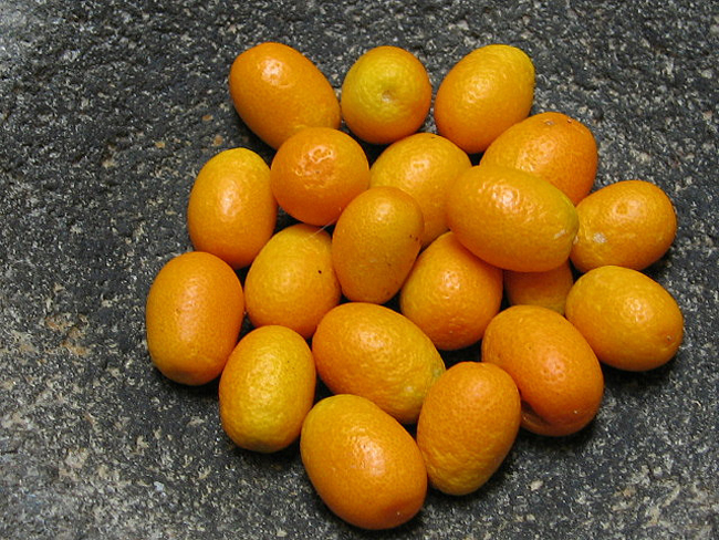 6. Quả quất

Quất là một loại trái cây cùng họ cam quýt nhưng nhỏ hơn và có hình bầu dục. Quất được trồng nhiều ở Trung Quốc, Nhật Bản, Việt Nam và Đài Loan, nó thường được sử dụng trong làm mứt, thạch.
