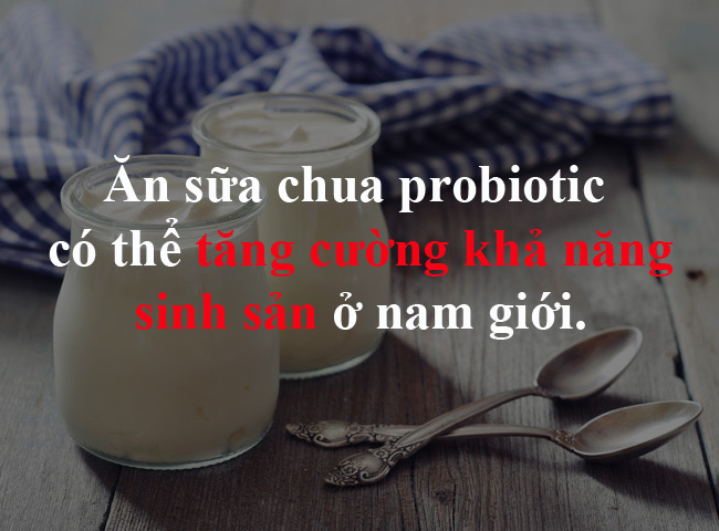 Ăn sữa chua probiotic có thể tăng cường khả năng sinh sản ở nam giới. 
