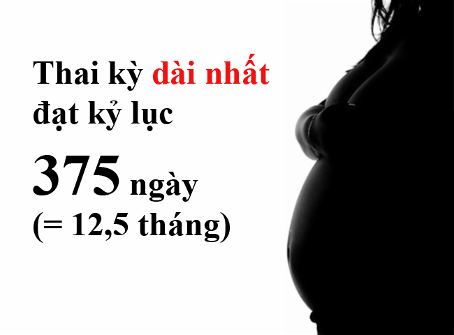 Thai kỳ dài nhất đạt kỷ lục 375 ngày (tương đương 12,5 tháng)
