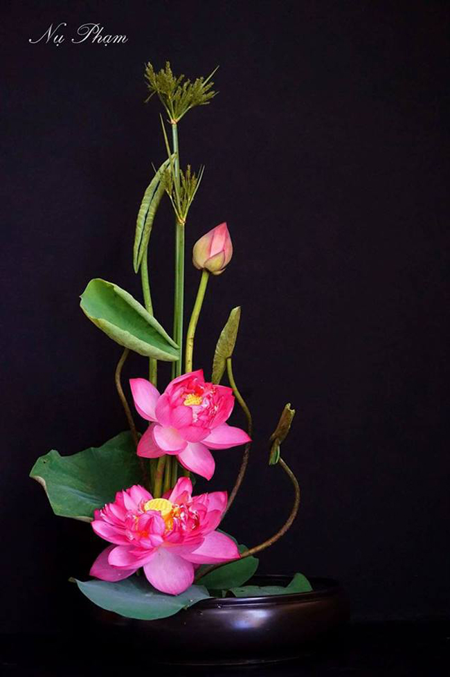 (Ảnh: Nụ Phạm)

Để hoa tươi lâu hơn, bạn có thể dùng 1 viên aspirin, nghiền nát và hòa vào nước dùng để cắm hoa. 
