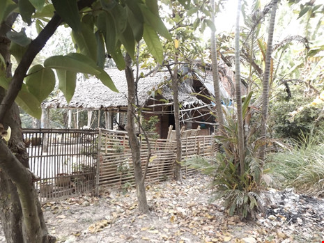 Bé 11 tuổi nghi bị cha ruột và ông nội xâm hại: Khởi tố vụ án, bắt tạm giam 2 nghi phạm - 1