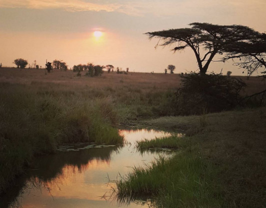 Đẹp mê hồn địa danh ngoài đời thật bước ra từ các câu chuyện cổ tích Disney - 13