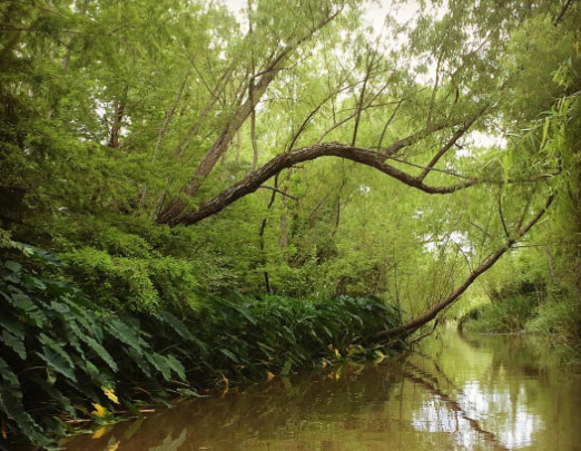 Đẹp mê hồn địa danh ngoài đời thật bước ra từ các câu chuyện cổ tích Disney - 10