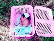 Làm mẹ - Vẻ bụ bẫm của bé sơ sinh Thái bị mẹ bỏ rơi sau 6 tháng khiến ai cũng mừng