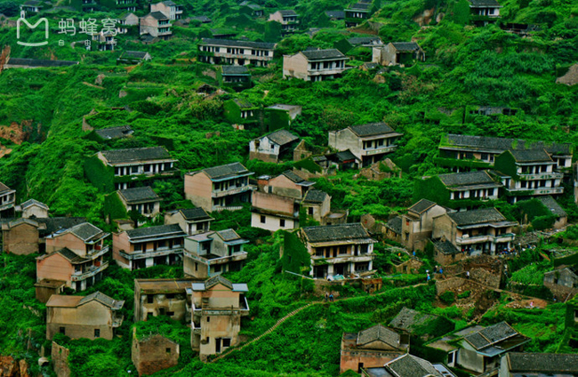 Không thể đếm hết số nhà nơi đây bởi màu xanh lá đã phủ kín, tạo thành một quần thể nhà
