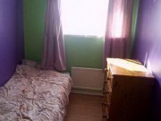 Tin tức - Chấn động vụ cô gái khuyết tật bị giam trong phòng kín để cưỡng hiếp suốt 12 năm