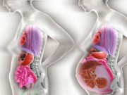 Bà bầu - Những điều thực sự xảy ra với cơ thể mẹ bầu 3 tháng đầu