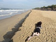 Eva tám - Cái kết đắng, siêu hài hước của cô gái nằm nhà, ước mơ được ra biển