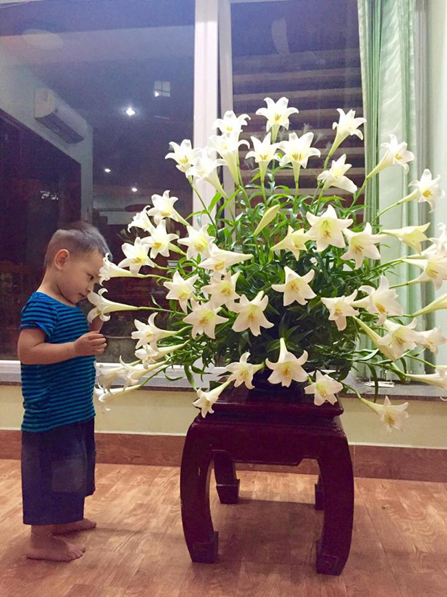 Cậu con trai chị Thu Huyền cũng mê hoa giống mẹ.
