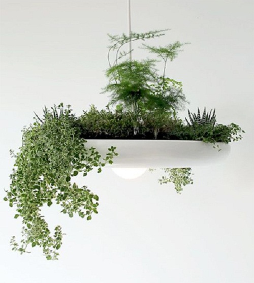 Đồ nội thất cũng amp;#34;nuôiamp;#34; được đấy, sao bạn không thử? - 6