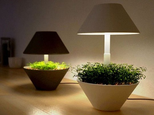 Đồ nội thất cũng amp;#34;nuôiamp;#34; được đấy, sao bạn không thử? - 5