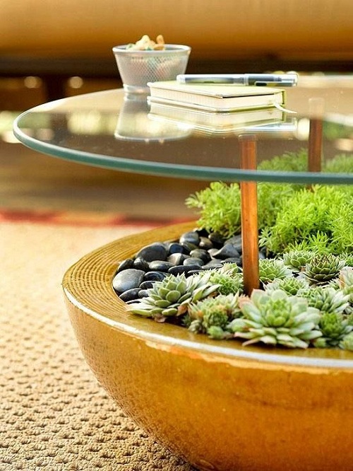 Đồ nội thất cũng amp;#34;nuôiamp;#34; được đấy, sao bạn không thử? - 1
