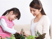 Clip Eva - Video: 7 bước khơi dậy trí thông minh cho trẻ các mẹ cần chú ý