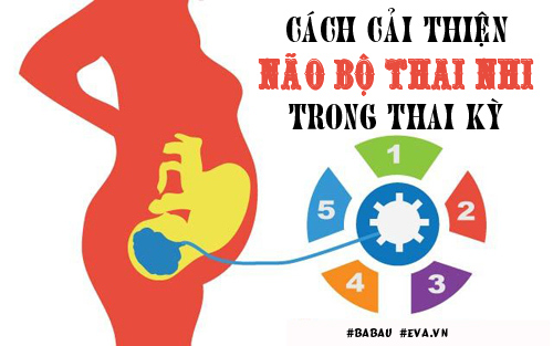 Muốn đẻ con thông minh hơn bố mẹ, bà bầu phải biết những điều này! - 1