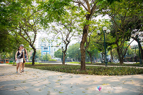 Hàng rào tre nhọn ở vườn hoa gần Nhà hát Lớn đã được gỡ bỏ hoàn toàn - 1
