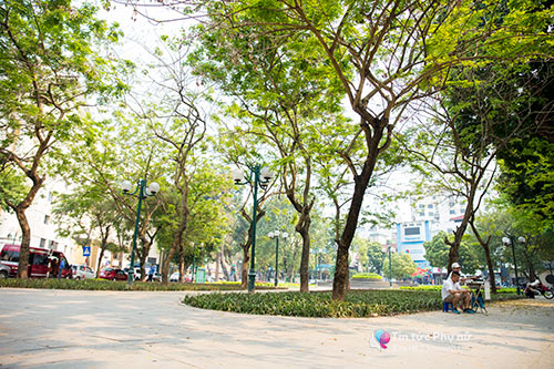Hàng rào tre nhọn ở vườn hoa gần Nhà hát Lớn đã được gỡ bỏ hoàn toàn - 5