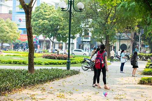 Hàng rào tre nhọn ở vườn hoa gần Nhà hát Lớn đã được gỡ bỏ hoàn toàn - 6
