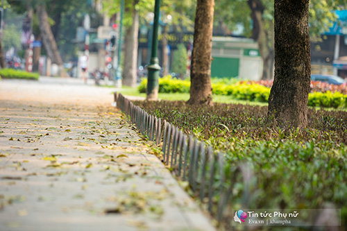 Hàng rào tre nhọn ở vườn hoa gần Nhà hát Lớn đã được gỡ bỏ hoàn toàn - 12