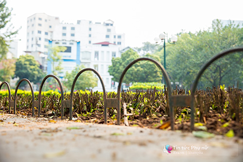 Hàng rào tre nhọn ở vườn hoa gần Nhà hát Lớn đã được gỡ bỏ hoàn toàn - 9