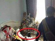 Nhà đẹp - Chủ nhà "khóc thét" khi mở cửa căn phòng cho thuê bẩn ngang... chuồng lợn