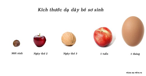 Quên chuyện con tăng cân lành mạnh đi nếu không được bú đầy đủ lượng sữa dưới đây - 1