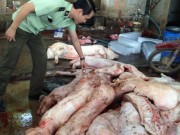 Mua sắm - Giá cả - Lợn bệnh chết biến thành thịt hun khói, thịt lợn Mán