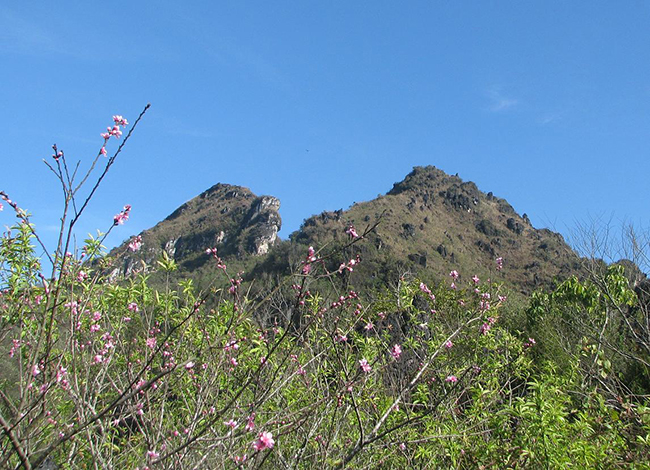 Núi Hàm Rồng

Núi Hàm Rồng nằm ngay sát thị trấn Sapa, cách 3 km, du khách có thể đi bộ đến đó. Đứng trên đỉnh núi Hàm Rồng, bạn được ngắm toàn cảnh Sapa, thung lũng Mường Hoa, Sa Pả, Tả Phìn ẩn hiện trong sương khói.

Ảnh: wiki
