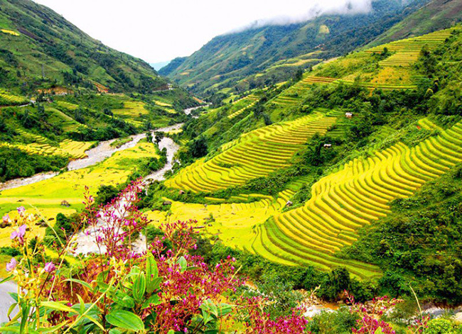 Thung lung Mường Hoa – Bãi đá cổ Sapa

Điều đặc biệt tại thung lũng này là bãi đá cổ có khắc nhiều hình khác nhau, nằm xen giữa cỏ cây và những thửa ruộng bậc thang của đồng bào dân tộc. Hàng trăm tảng đá sa thạch có khắc những hình vẽ, những ký tự kỳ lạ đến nay vẫn chưa xác định được nguồn gốc và ý nghĩa. Ngày nay, khu chạm khắc cổ này đã được xếp hạng di tích quốc gia, là di sản độc đáo của người Việt cổ.

Ảnh: redlotustravel.com
