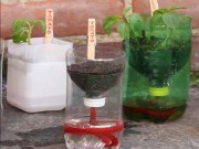 Nhà đẹp - Học ngay mẹo "siêu độc" tưới đủ nước cho cây không tốn một giây