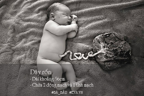 Nhau thai, dây rốn và nước ối: 14 sự thật đáng kinh ngạc - 2