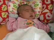 Tin tức - Xôn xao bé gái 2 tháng tuổi đẹp như thiên thần bị bỏ rơi trước cổng chùa