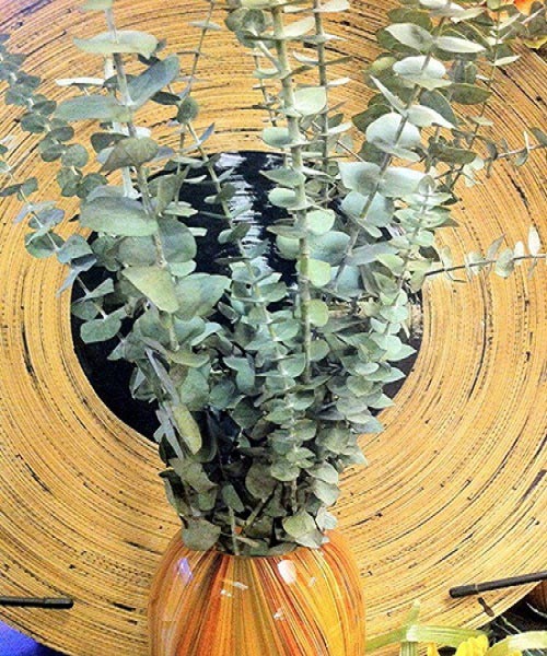 5 phút tự amp;#34;chếamp;#34; nước xịt phòng cho nhà thơm tho cả năm trời - 8