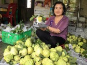 Mua sắm - Giá cả - 'Nữ tướng' mãng cầu khủng, hạt lép