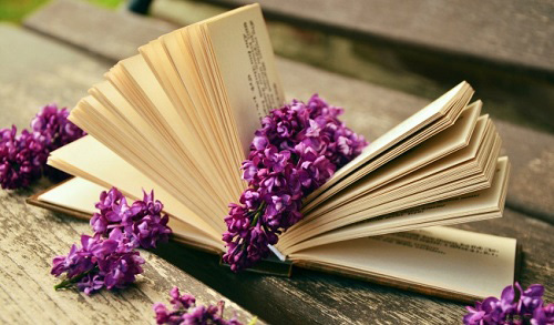 Tử vi tuần 17/4: Tuần đen đủi, cái gì cũng gặp rắc rối của tuổi Dần, tuổi Mão - 4